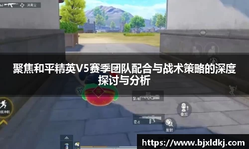 星空体育平台app