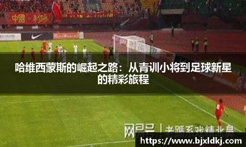 星空体育平台app